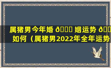 属猪男今年婚 🍀 姻运势 🐅 如何（属猪男2022年全年运势如何）